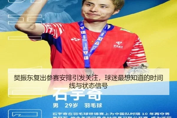 樊振东复出参赛安排引发关注，球迷最想知道的时间线与状态信号